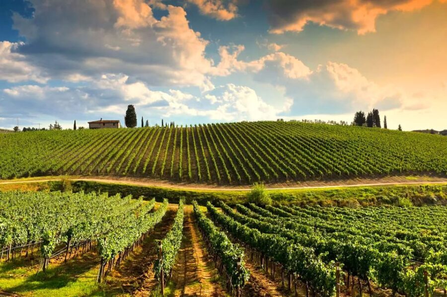 Rolling hills of Tuscany